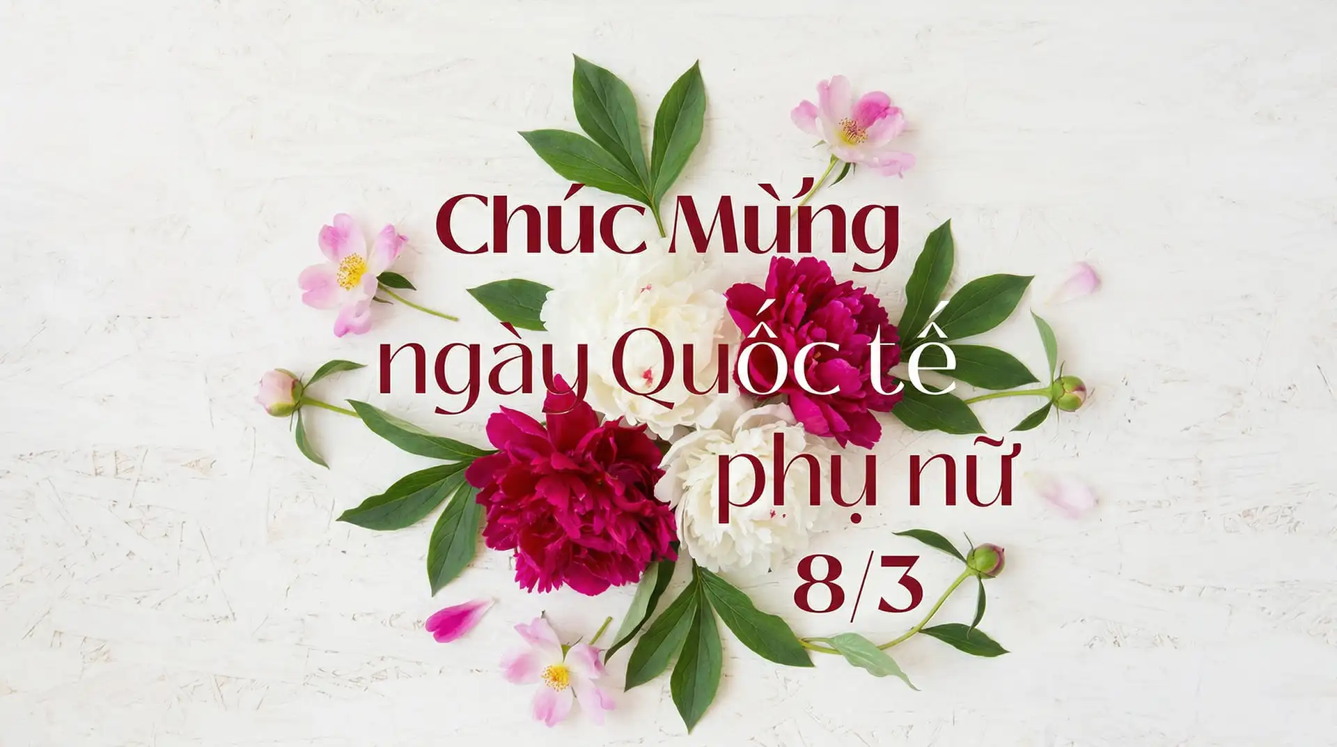 Ngày Quốc tế Phụ nữ 8/3 - phụ nữ cầm hoa hồng đỏ tươi trong ngày kỷ niệm Quốc tế Phụ nữ